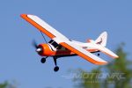 XK DHC-2 Beaver A600 with Gyro 580mm (22.8 ) Wingspan - RTF Supply