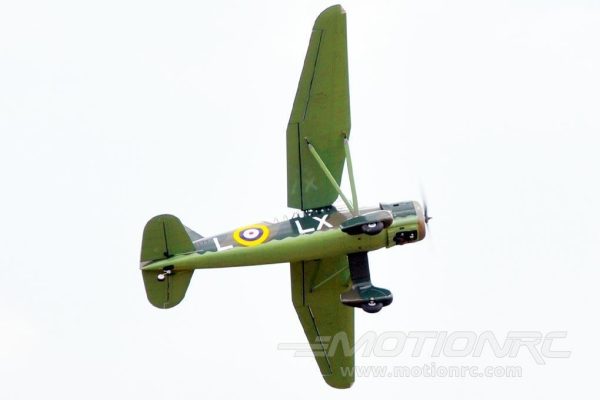 Black Horse Westland Lysander 2540mm (100 ) Wingspan - ARF For Cheap