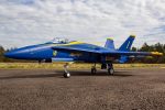 Freewing F A-18C Hornet Blue Angels High Performance 90mm EDF Jet - PNP Hot on Sale